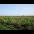 Die Walachische Tiefebene macht ihrem Namen alle Ehre